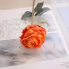 สีส้ม