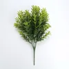 Hierba de crisantemo-33cm