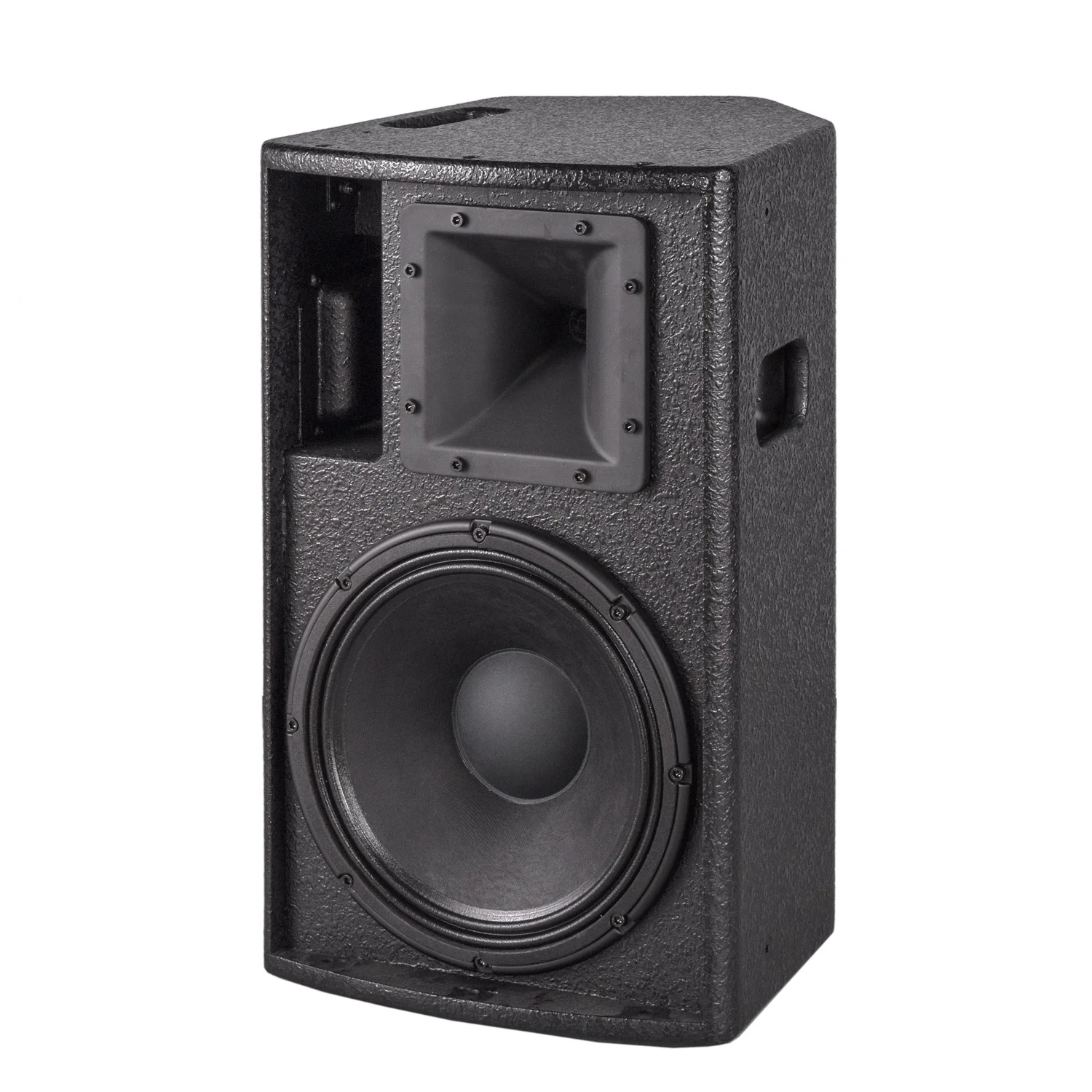 10 Inch Full Range Speaker CVR Audio Professional Quality - Main Image