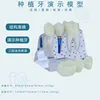 C dental implant transparent blue nail
