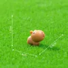 2 little capybaras