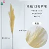 Single 13-haired reed, yellow