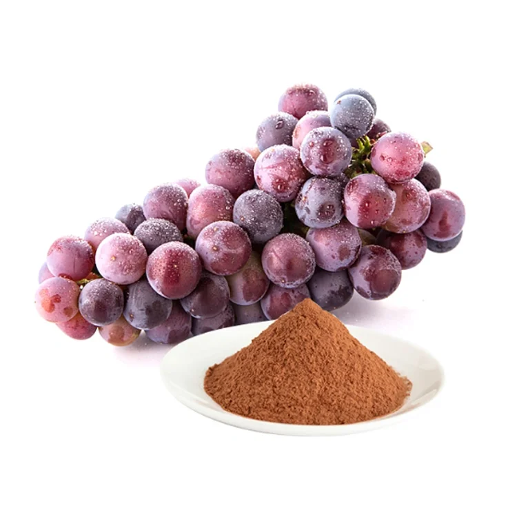 Gnc Grade Food Grade Grape Fruit Seed Extract Plant Extract Powder