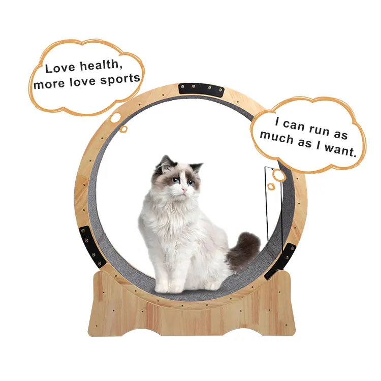 Cat Exercise Wheel Sisal Scratcher For Running Climbing And Losing Weight Cat Wheel Cat Tree