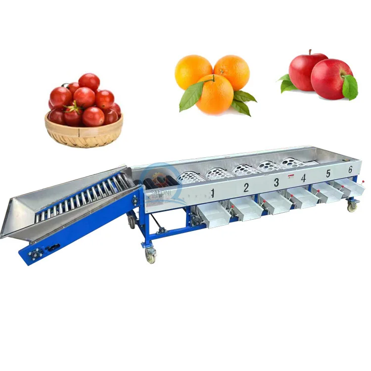 Fully Automatic mango Date Cherry Vegetable Fruit Olive Garlic Size Grading Sorting Machine for Fruit and Table