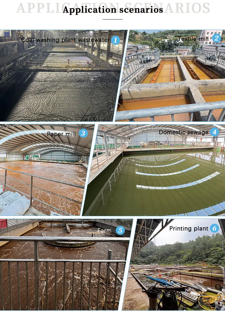 Polyacrylamide Cationic Particle Flocculant Coagulant PAM Wastewater ...