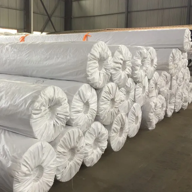 High Density Polyethylene 2mm HDPE Geomembrane Liner