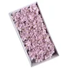 Lavanda