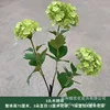 3-headed hydrangea