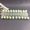 Starfruit Mold