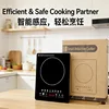black touch-controlled flat panel 220V 3-prong, Chinese