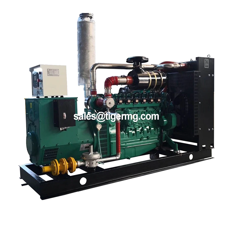 50kw 1000kw Farm Hydrogen Generation From by Mobile Biomass Methane Power Generating Plant Generator Combustion
