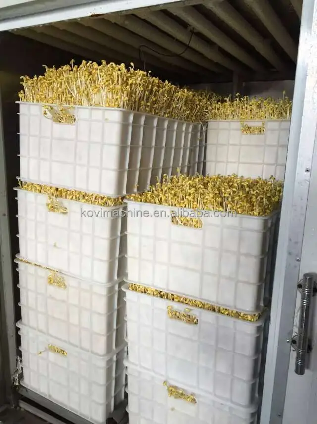 Hydroponic Soy Bean Sprout Growing System Equipment Soybean Mung Bean Sprouter Machine