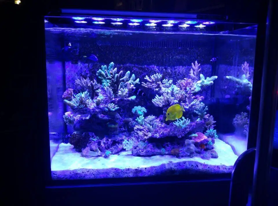 2020 Newest Wifi Dimmable New Design Reef 120W 240W 350W Aquarium LED Lights Diy Led Reef Lighting Kits