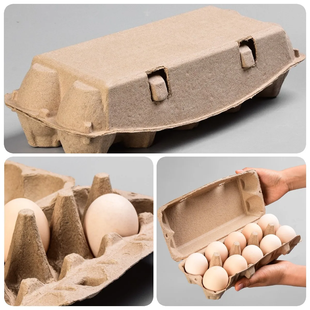 Small Alveoles Paper Egg Trays Carton Making Manufacturer Machine