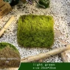verde claro 20*20cm