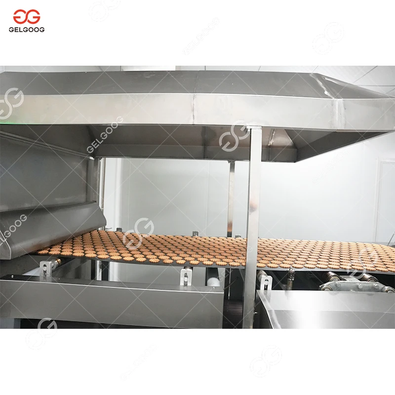 Automatic Small Scale Cracker Production Machinery Chocolate-Coated Hard Biscuit Machine