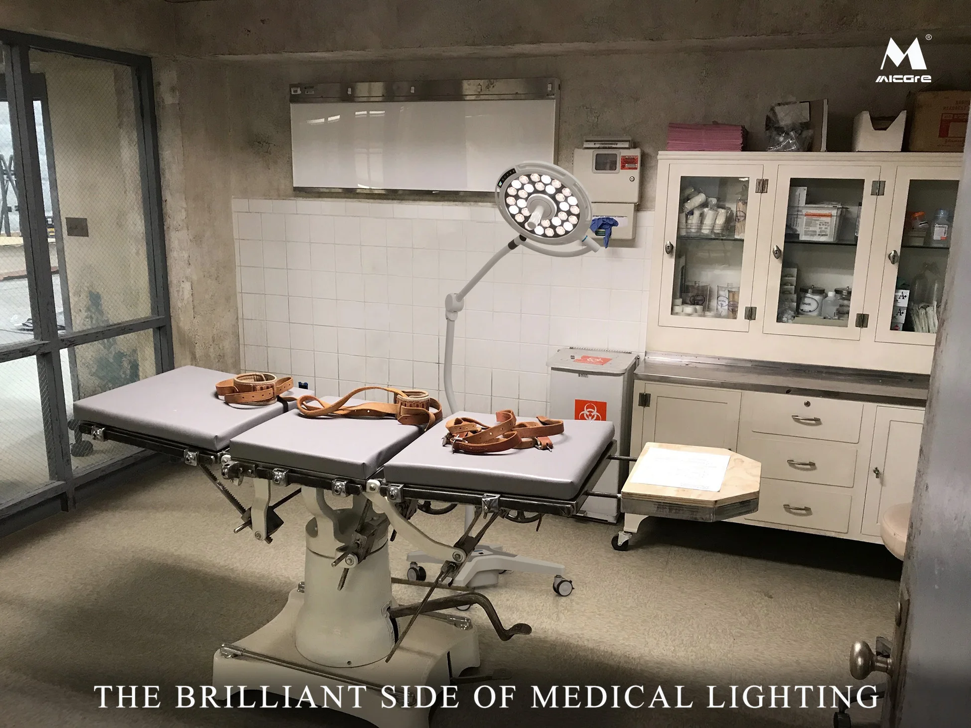 Mobile Veterinary surgical light  Examination LED  light LED surgical light details