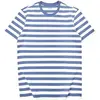 Cornflower Bluewhite Wd