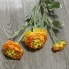 Arancione