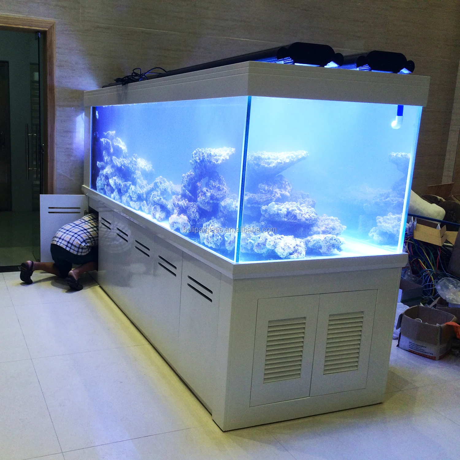 Empty Giant Fish Tank
