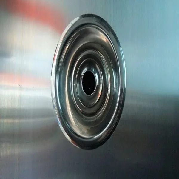 Clean room air shower tunnel for dust removal in laboratories, slaughterhouses and food industry