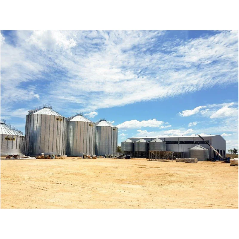 Direct China Supplier Factory Building Design Cyprus Steel Structure Warehouse