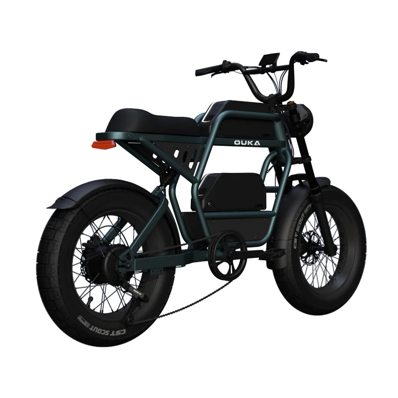 Vélo électrique Adulte 20″ – Double Moteur 2000W – Batterie 52V 40Ah – Pneus Neige