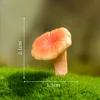 17-dream mushroom