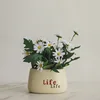 Daisies Life potted plant