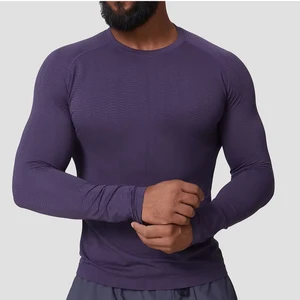 Custom Seamless Breathable Quick Dry Slim Fit Sports Long Sleeve T-shirts Gym Fitness Long Sleeve T Shirt for Men