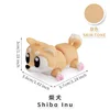 Shiba Inu