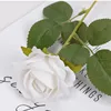 Velvet rose-white