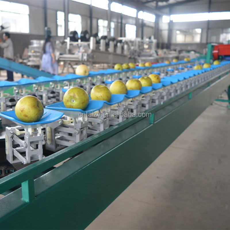 Customize Fruit Vegetable Grader Potato Mango Avocado Sorter Weight Grading Machine