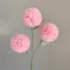 Second-generation three-headed chrysanthemum