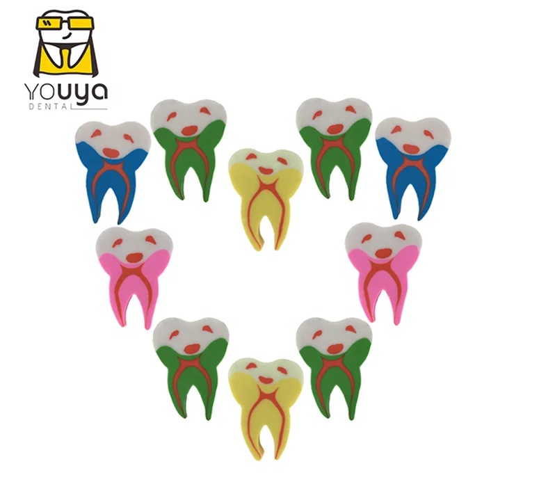 
 Резиновые ластики для зубов в форме молара для стоматологической клиники, школьный подарок  