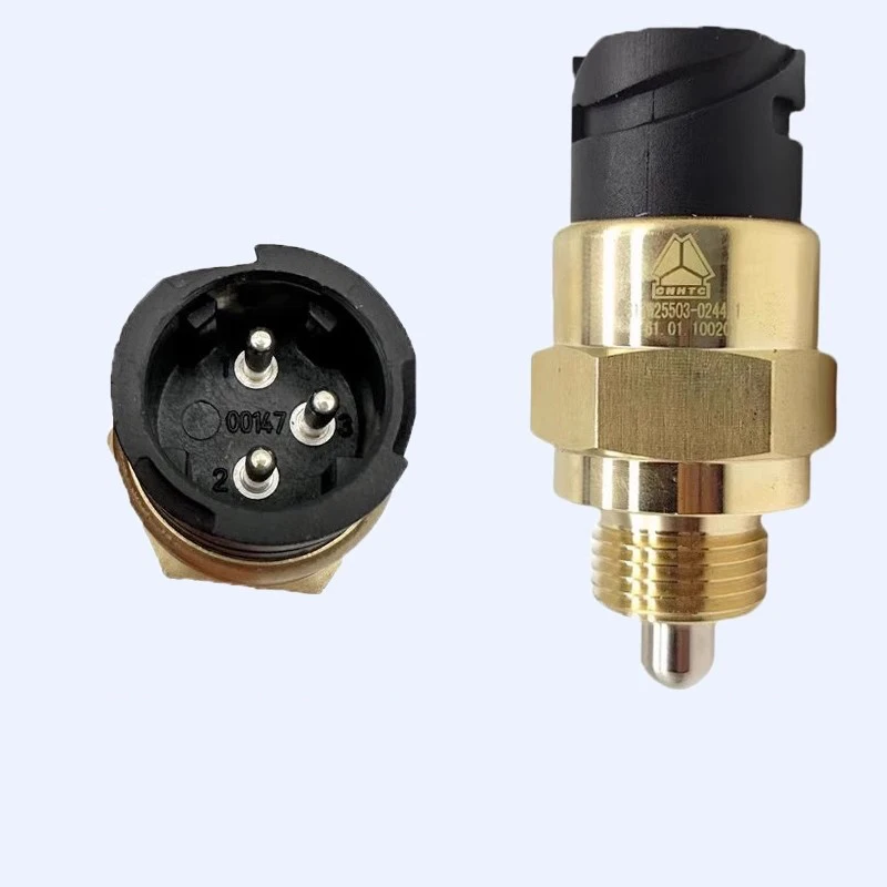 Sinotruk Howo Truck Spare Parts - Differential Pressure