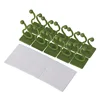 10 piezas verde