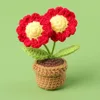 Plante en pot marguerite rouge à deux têtes - Mini bol à fil