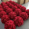 Red 02