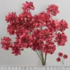 Paquete de 10 piezas de pintura al óleo Rose Red Dotin