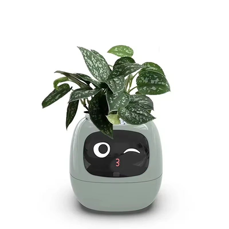 Intelligent Lazy Person Automatic Water Absorbing Flower Pot Plastic Resin Circular USB Rechargeable Indoor Plant Potted Plants