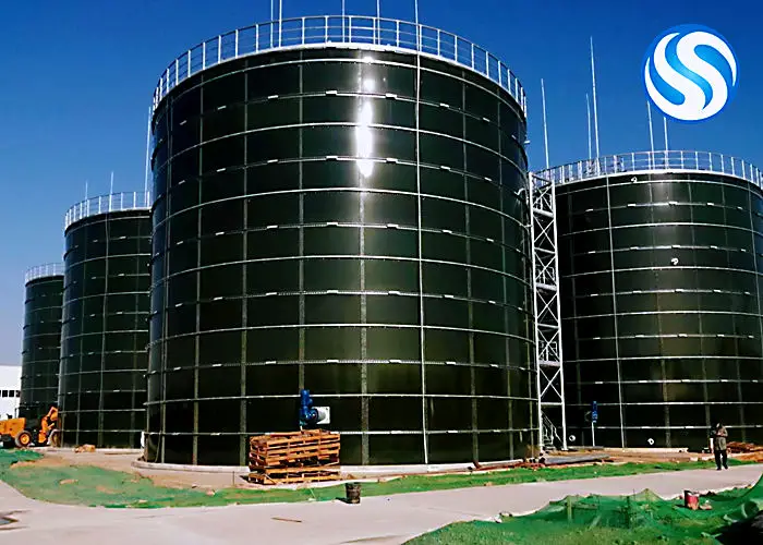 GFS Assembly Biodigester Biogas Plant Turning Human Waste/Livestock Manure&Agriculture Waste Into Cooking Gas and Electricity