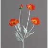 Rosso arancio