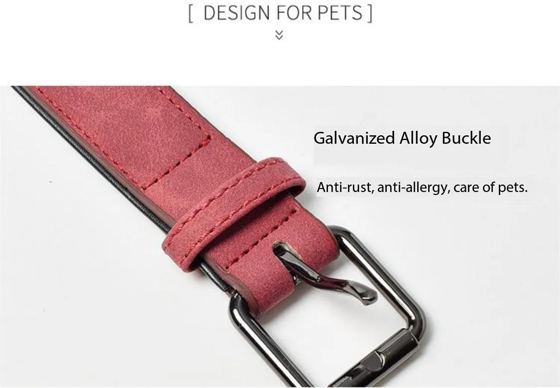 IVYPET Eco Friendly Pet Collar Genuine Leather With Leash Set Custom Logo Dog Training Collar And Leash Set Luxury details