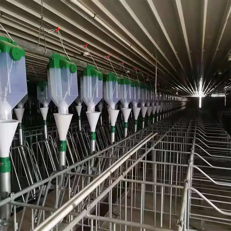 Pig Farm Automatic Plug Tray Feeding System, Sow, Fattening Pig Automatic Feeding Equipment