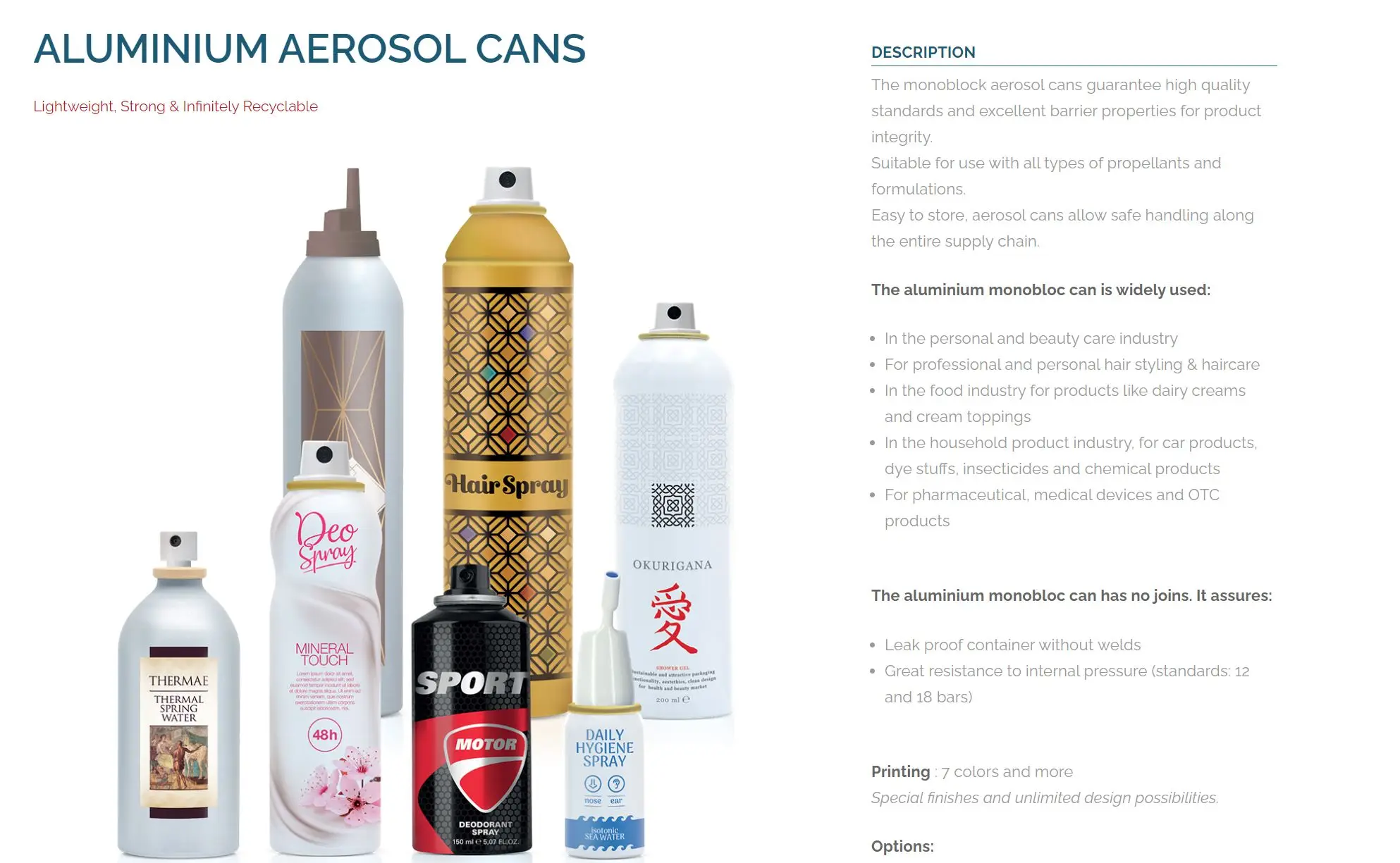 Aluminium Aerosol can-2.JPG