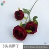 3 Austin ZYJ Rouge