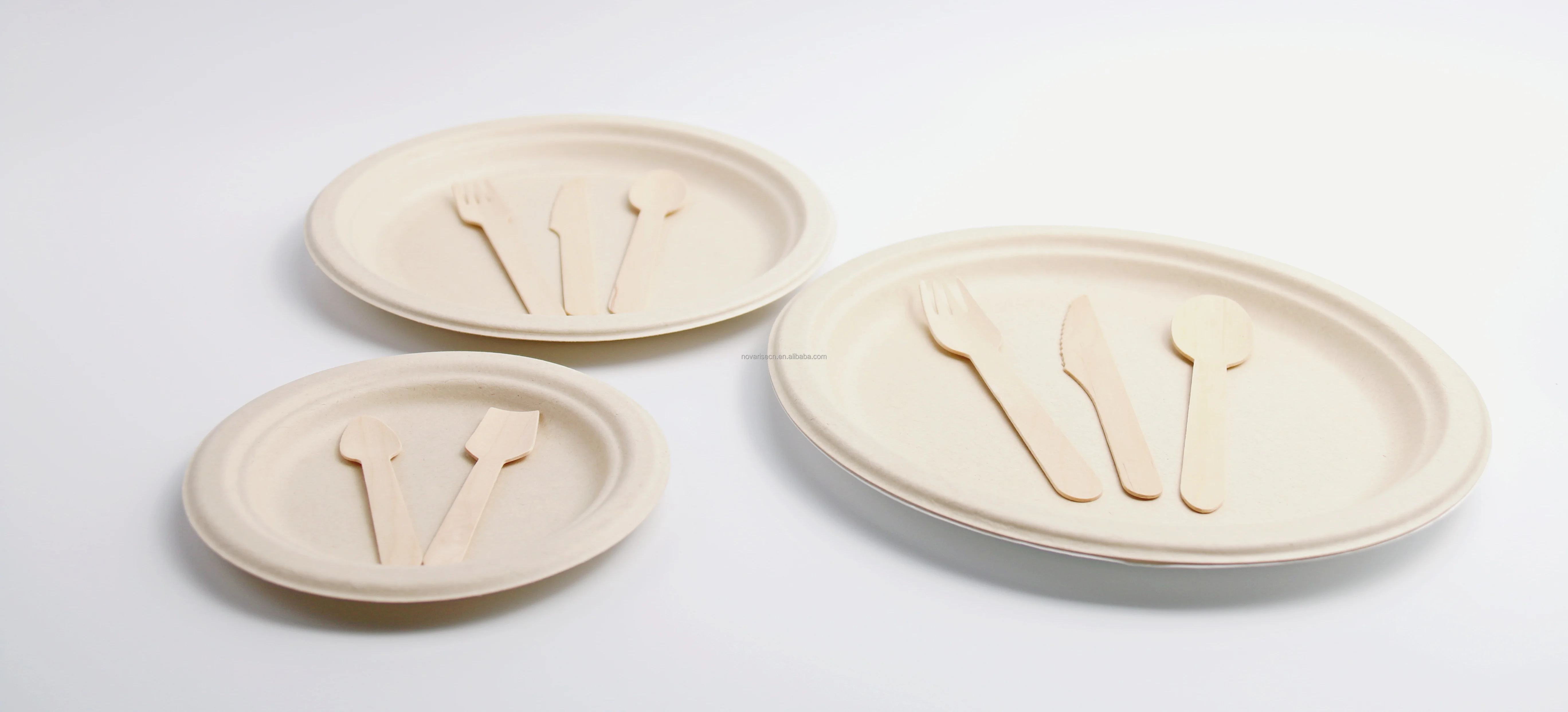 Disposable Biodegradable Sugar Cane Paper Pulp Compostable Bagasse ...