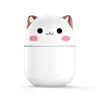 Cute cat white